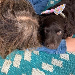 Meet your Posher, Brittany